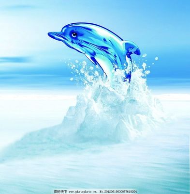 海豚图片,水 冰块 冰面 促销 广告设计模板 源文件